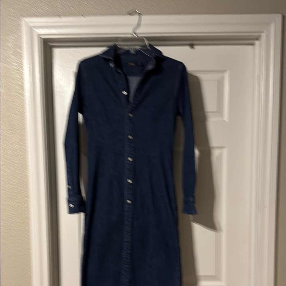Polo by Ralph Lauren Blue Long Sleeve Dress